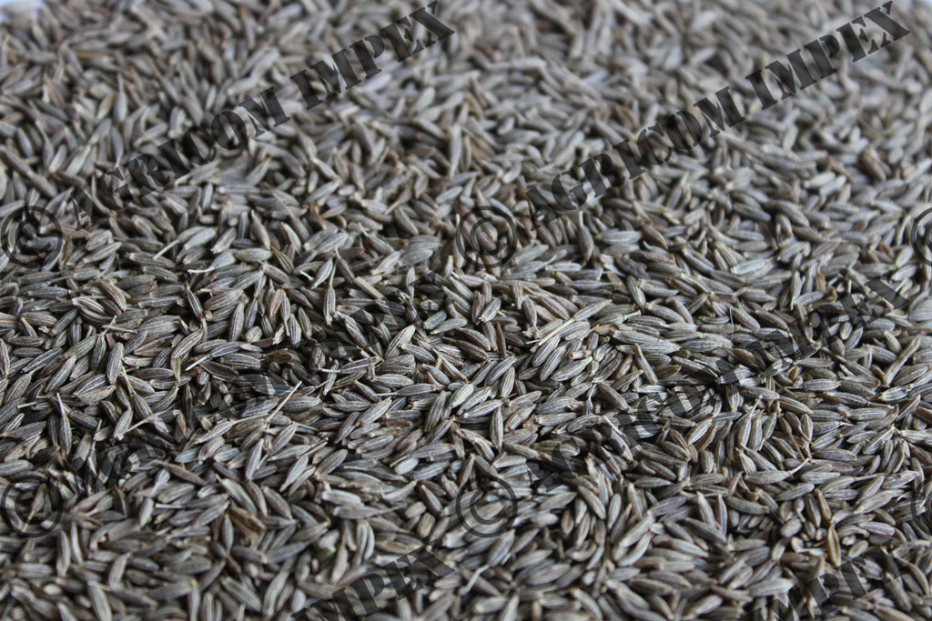 Cumin Seed